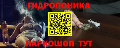 стафф Мариинск