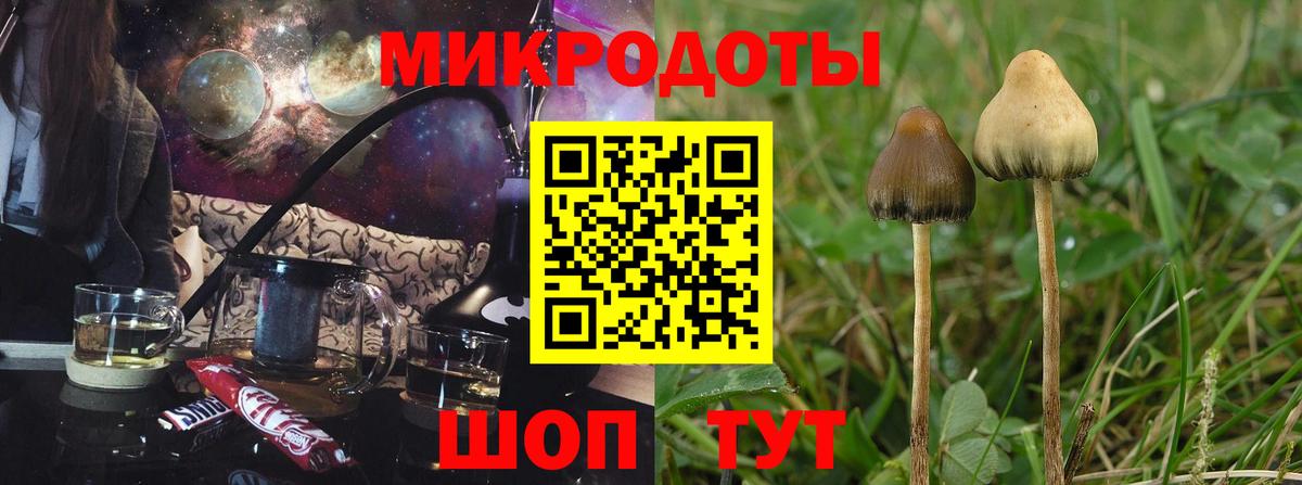Тосно  закладки  Галлюциногенные грибы MAGIC MUSHROOMS  Вход с VPN  Псилоцибиновые грибы мицелий 